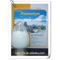 Alta qualidade Prometryn herbicida 97% TC 500g / lSC CAS: 7287-19-6